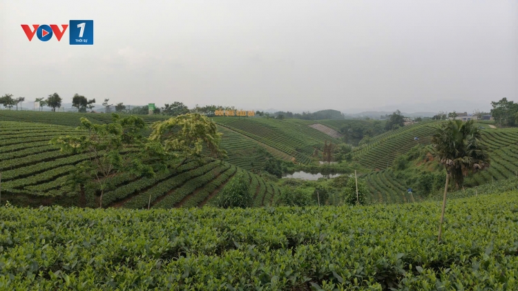 Theo dòng thời sự sáng 25/5/2026