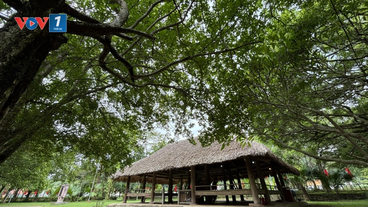 Ngày thu tháng Tám trên quê hương Cách mạng