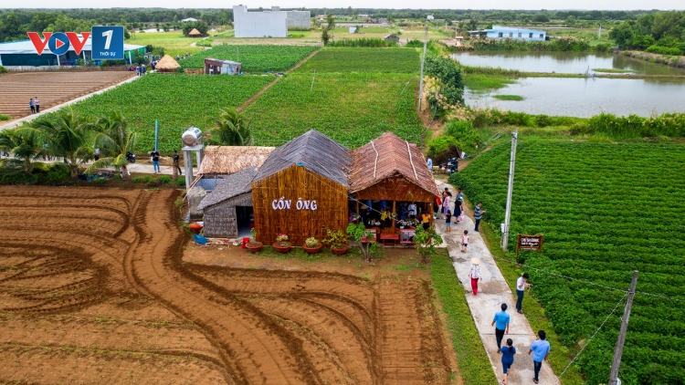 Vĩnh Long: Khi nông thôn mới trở thành điểm đến