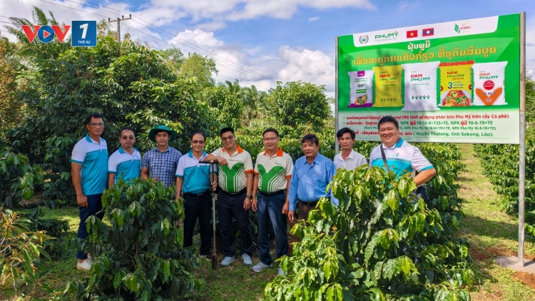 Phú Mỹ đồng hành cùng nông dân Lào phát triển nông nghiệp hiện đại