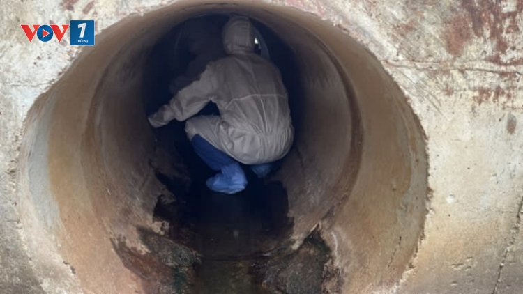 Thái Lan phát hiện virus corona chủng mới trên dơi móng ngựa
