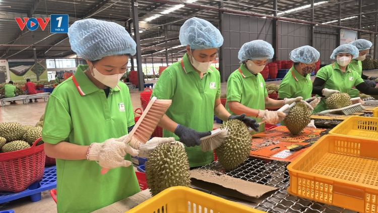 Việt Nam xuất khẩu nông, lâm, thuỷ sản đạt hơn 23 tỷ USD trong 4 tháng đầu năm
