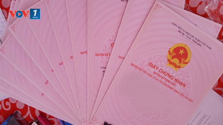 Thành phố Hồ Chí Minh rà soát để cấp hơn 61.000 “sổ hồng”