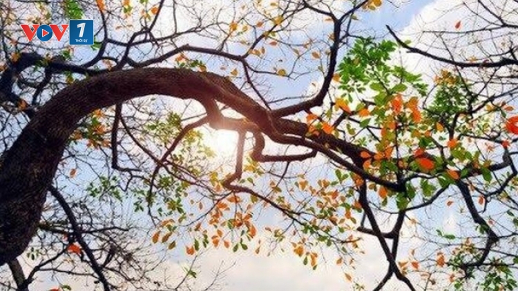 Thời tiết ngày 6/5/2026: Nhiều nơi đêm xuất hiện mưa rào, ngày nắng