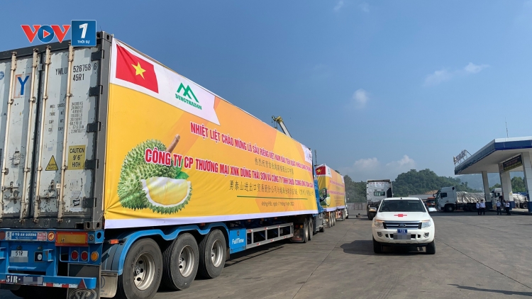 Nông sản Việt: đảm bảo an toàn thực phẩm và kiểm dịch trước quy định mới của thị trường Trung Quốc