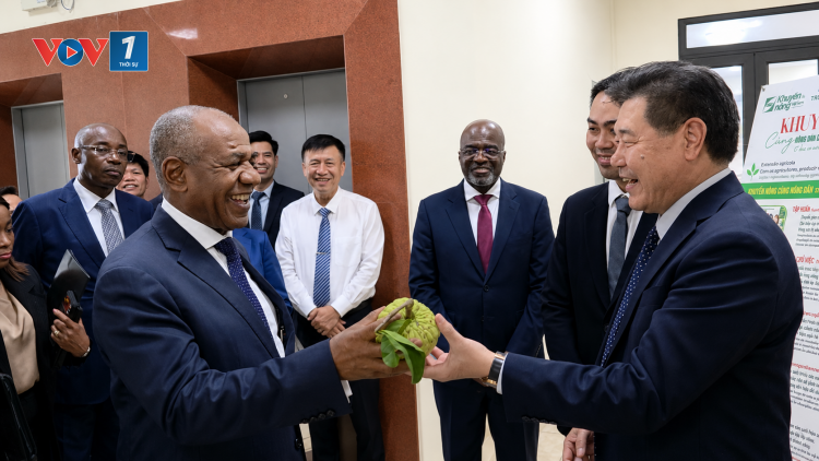 Khuyến nông mở rộng dư địa hợp tác nông nghiệp Việt Nam - Angola