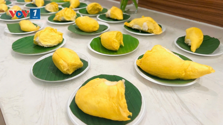 Khai mạc “Tuần lễ buffet sầu riêng Cần Thơ năm 2026”