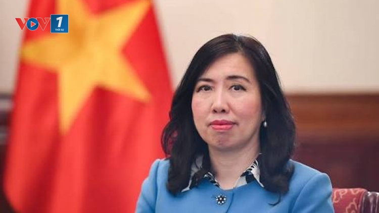 Triển khai Nghị quyết Đại hội XIV của Đảng: Kiều bào chung sức góp phần đưa đất nước vươn xa 