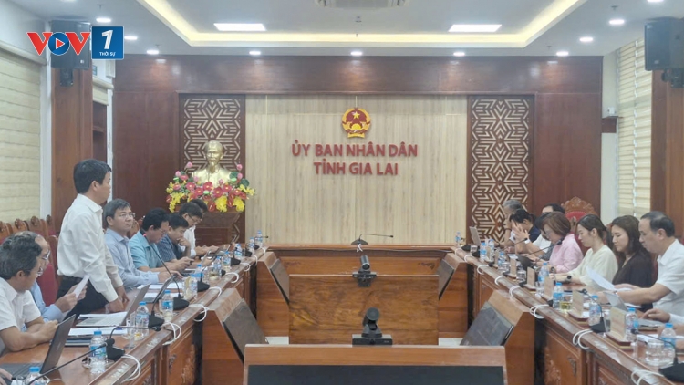 EVNNPT và ADB làm việc với UBND tỉnh Gia Lai về thẩm định tài trợ vốn ODA cho Dự án đường dây 500kV 