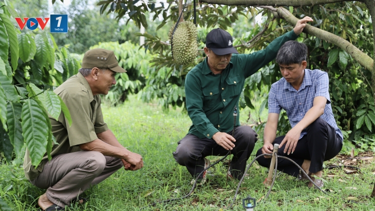 Từ chiến trường đến nương rẫy, vẫn trọn phẩm chất Bộ đội Cụ Hồ