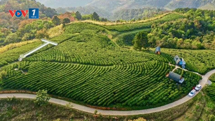 Sức nông dân bồi đắp cơ đồ đất nước 