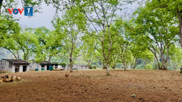 Xây dựng chuỗi giá trị cho nông sản bản địa