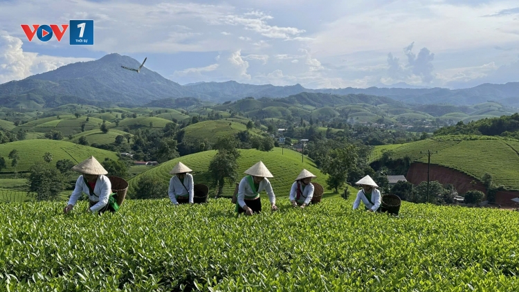 Phát triển Du lịch Nông nghiệp: Làm gì thảo gỡ khó khăn?
