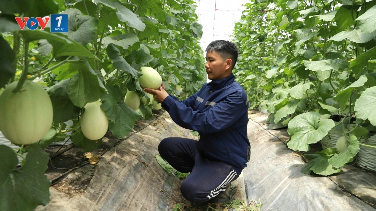 Công nghệ làm thay đổi tư duy sản xuất nông nghiệp