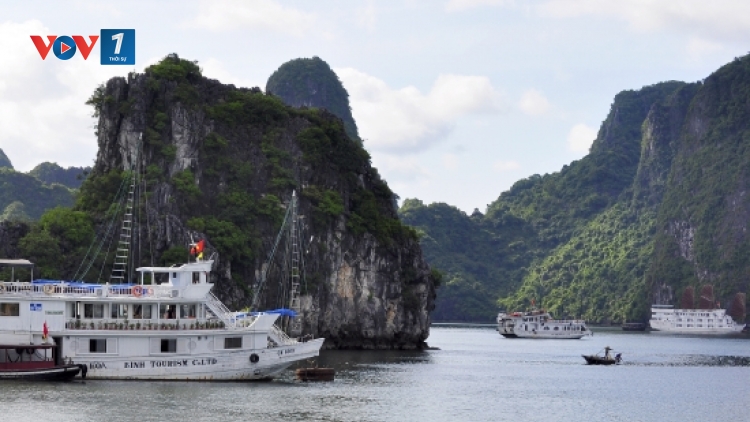 Nguyên nhân nào dẫn đến hiện tượng ô nhiễm dầu trên Vịnh Hạ Long? (21/12/2015)