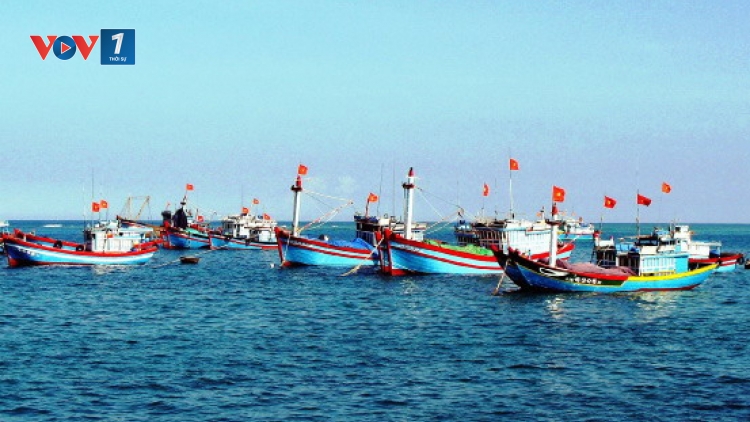 Nghiệp đoàn nghề cá - Ngôi nhà chung của ngư dân (08/01/2016)