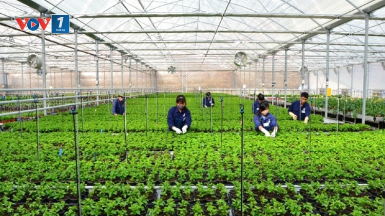 Phát triển nông nghiệp theo hướng tiếp cận đa ngành: Chìa khoá để Lâm Đồng thành công khi tham gia Hiệp định đối tác Thương mại xuyên Thái Bình Dương (20/12/2015)