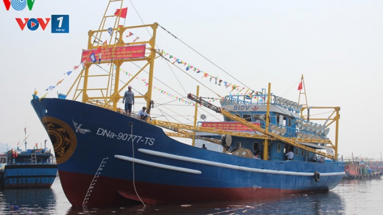 Những thành công bước đầu của Nghị định 67 về một số chính sách phát triển thủy sản. (3/4/2016)