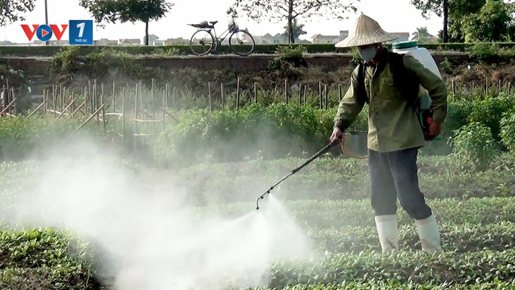 Hội chứng "rau 2 luống, lợn 2 chuồng" - hay con đường đồng bào ta đầu độc đồng bào mình (15/4/2016)