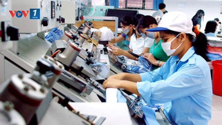 Tư vấn về Luật Lao động. (19/01/2016)