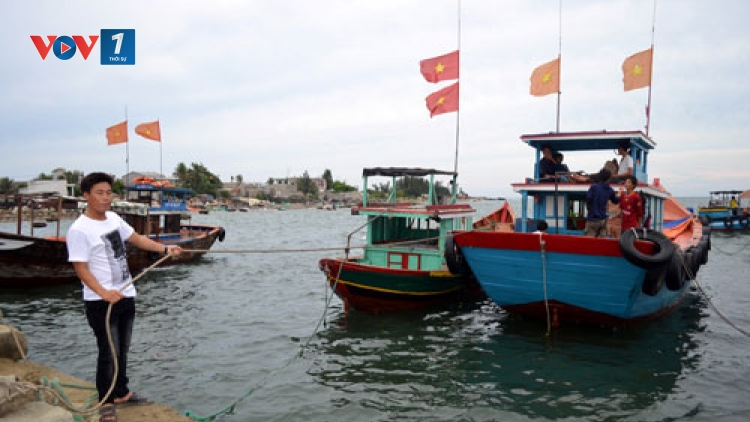 Biển đảo Việt Nam ngày 1/9/2014: Đà Nẵng - Nhiều sáng kiến giúp ngư dân vươn khơi hiệu quả
