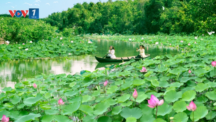 Diễn đàn kinh tế ngày 14/9/2014: Đồng Tháp - Đánh thức tiềm năng du lịch đất sen hồng