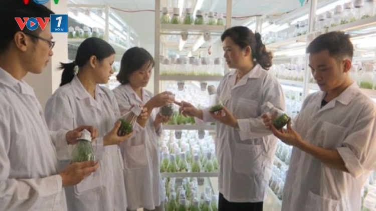 Nữ trí thức Việt Nam- cần lắm sự sẻ chia