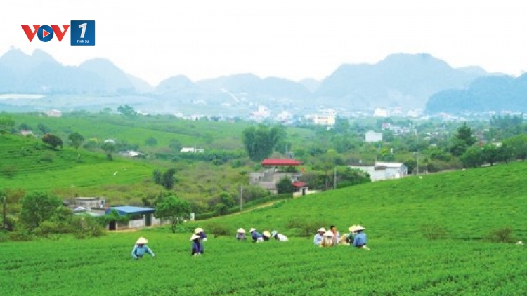 Quốc hội sẽ có Nghị quyết về quản lý, sử dụng đất đai tại các nông, lâm trường.