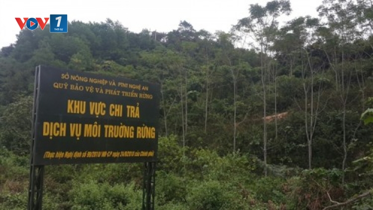 Chi trả dịch vụ môi trường rừng sau 5 năm thực hiện (30/11/2015)