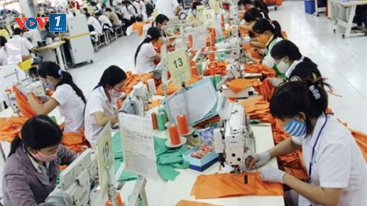 Chất lượng nhân lực khu vực đồng bằng sông Cửu Long thấp nhất nước trong suốt 25 năm qua (Thời sự chiều ngày 8/11/2015)