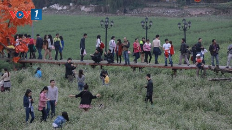 Thung lũng hoa” và phép ứng xử.(01/12/2015)