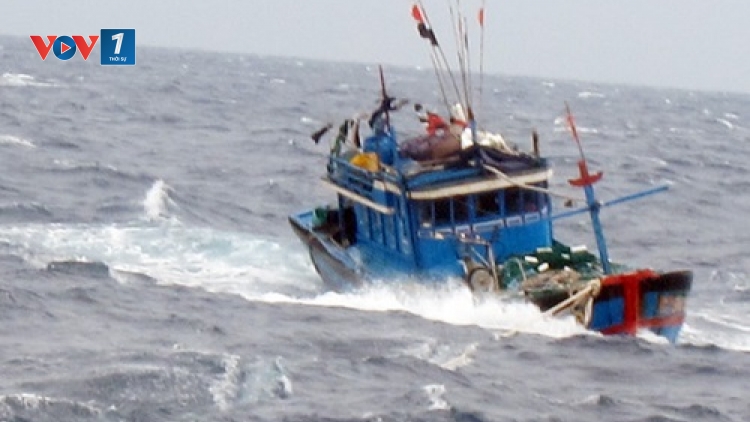 7 ngư dân trên tàu cá Thanh Hóa rơi xuống biển mất tích trên vùng biển Hải Phòng - Quảng Ninh (Thời sự trưa 5/12/2015)