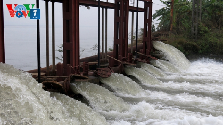 Thời sự đêm ngày 22/01/2015: Hơn 200 nghìn hecta của các tỉnh miền Bắc có nước đổ ải phục vụ gieo cấy lúa đông xuân 2014-2015