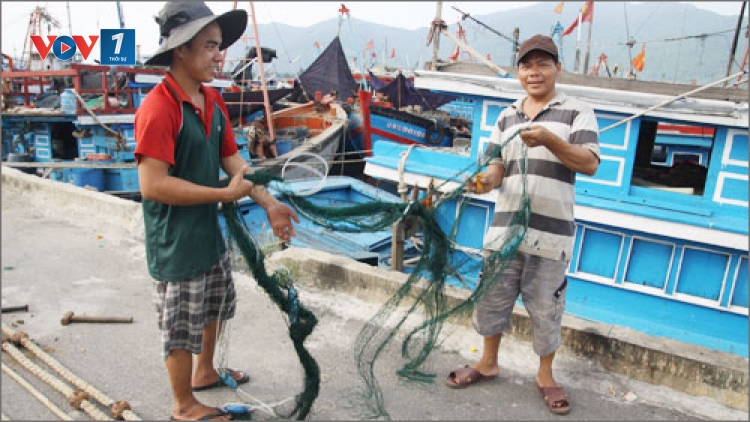 Biển đảo Việt Nam ngày 23/01/2015: Đầu nậu và ngư dân - mối ràng buộc khó gỡ