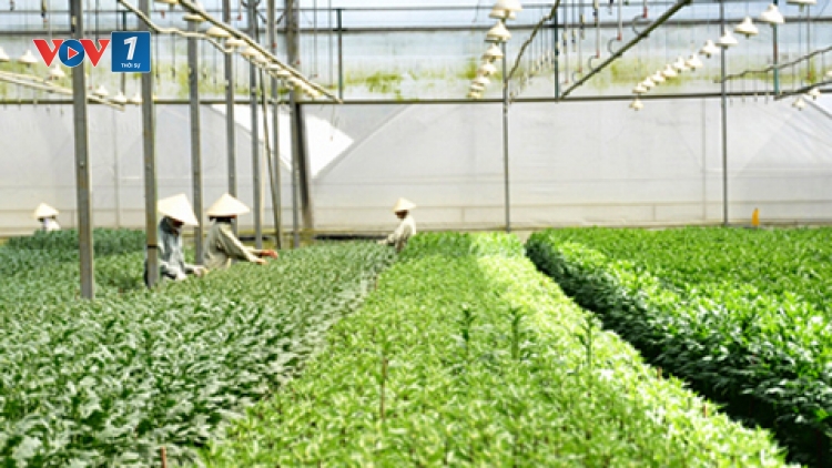 Khoa học và công nghệ ngày 30/01/2015: Nông nghiệp thông minh - cần sự liên kết biến ý tưởng thành hiện thực