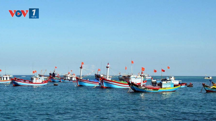 Biển đảo Việt Nam ngày 4/1/2015: Ngư dân đánh bắt xa bờ: Khó khăn tìm luồng cá