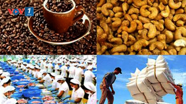 Quốc hội với cử tri ngày 05/01/2015: Hội nhập kinh tế quốc tế, làm sao để tự chủ và độc lập?