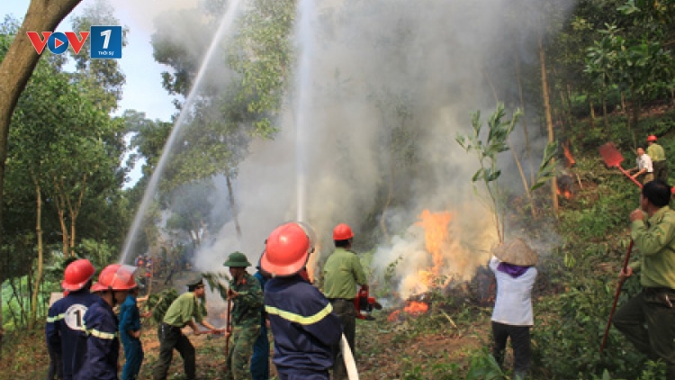 Chuyên gia của bạn ngày 11/03/2015: Hướng dẫn các biện pháp phòng cháy và chữa cháy rừng hiệu quả.