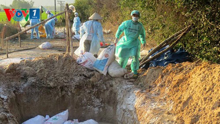 Thời sự trưa ngày 19/3/2015: Thanh Hóa tiêu hủy hơn 1.000 con gia cầm nhiễm virus cúm A/H5N6, loại virus có thể lây sang người với tỷ lệ tử vong cao.