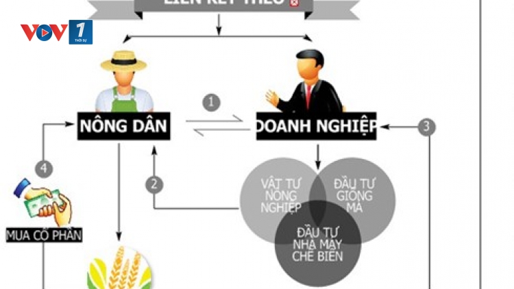 Diễn đàn kinh tế ngày 29/3/2015: Tái cơ cấu ngành nông nghiệp – nhìn từ vai trò doanh nghiệp
