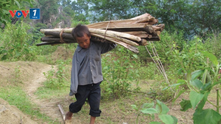 Môi trường và phát triển ngày 23/4/2015: Đà Bắc, Hòa Bình: Thiếu đất sản xuất - nguy cơ nghèo đói hiện hữu.