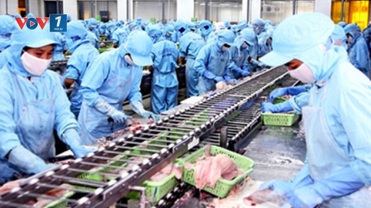 Thời sự chiều ngày 04/4/2015: Brazil cấp giấy phép nhập khẩu trở lại đối với mặt hàng thủy sản và các sản phẩm nuôi trồng, đánh bắt từ Việt Nam.