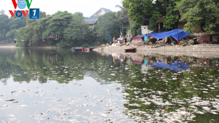 Môi trường và phát triển ngày 14/5/2015: Phát triển bền vững các dòng sông.