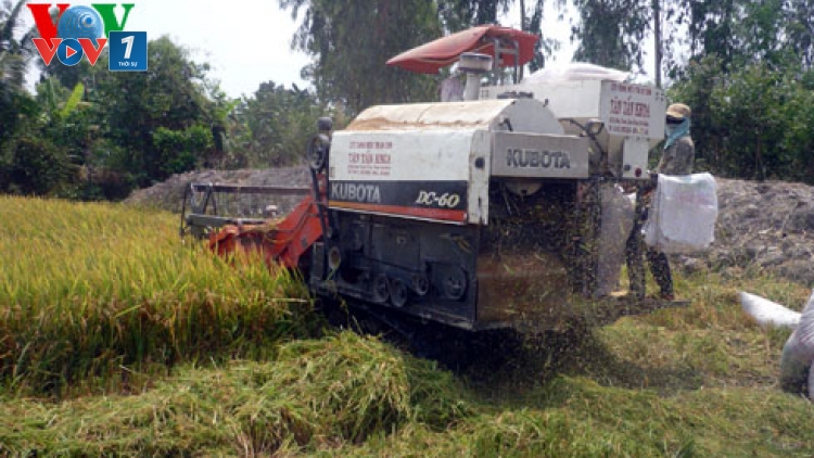 Thời sự chiều ngày 25/5/2015: Việt Nam sẽ tham dự phiên đấu thầu bán 250 nghìn tấn gạo cho Philippin theo thỏa thuận liên chính phủ vào tháng 6 tới.