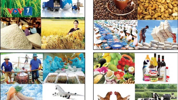 Khoa học và công nghệ ngày 26/5/2015: Ứng dụng khoa học công nghệ trong sản xuất giá trị gia tăng hàng nông sản.