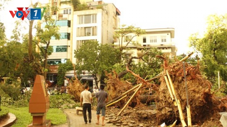 Thời sự trưa ngày 14/6/2015: Trận dông lốc với sức gió giật cấp 9 xảy ra chiều qua tại Hà Nội đã làm ít nhất 2 người thiệt mạng, nhiều người bị thương, hàng trăm cây cối đổ ngôn ngang.