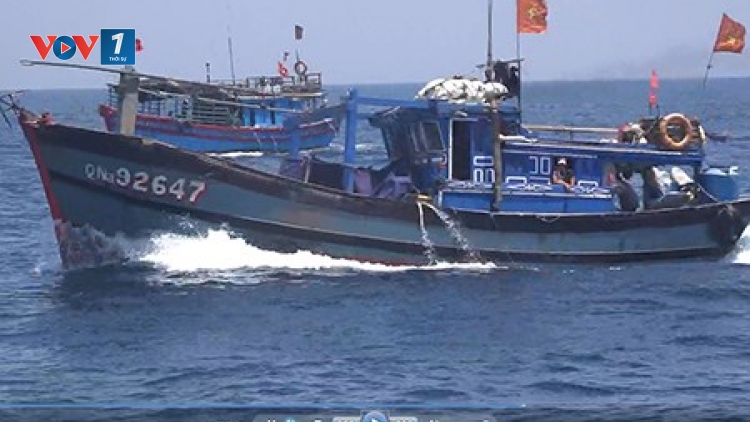 Thời sự đêm ngày 14/6/2015: Truy tìm tàu hàng đâm vỡ mạn trái tàu cá QNa 92647, khiến 1 ngư dân thiệt mạng, 3 người khác bị thương.