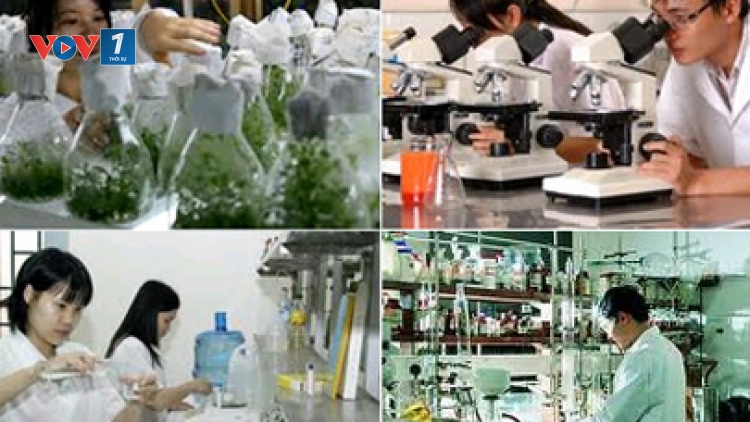 Khoa học công nghệ chưa đóng vai trò then chốt tạo động lực phát triển (Khoa học và công nghệ ngày 16/6/2015)