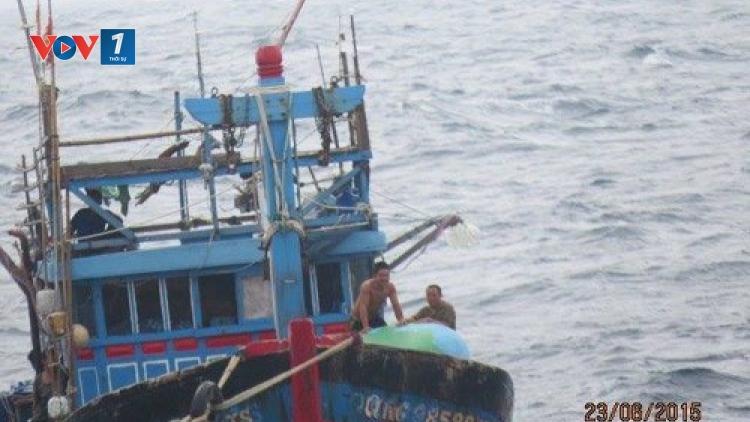 Tàu 629 Vùng 3 Hải quân ứng cứu ngư dân gặp nạn trên biển (Biển đảo Việt Nam ngày 26/6/2015)
