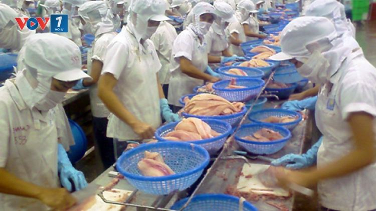 Doanh nghiệp "tự bơi" với FTA? (Kinh tế ngày 14/8/2015)